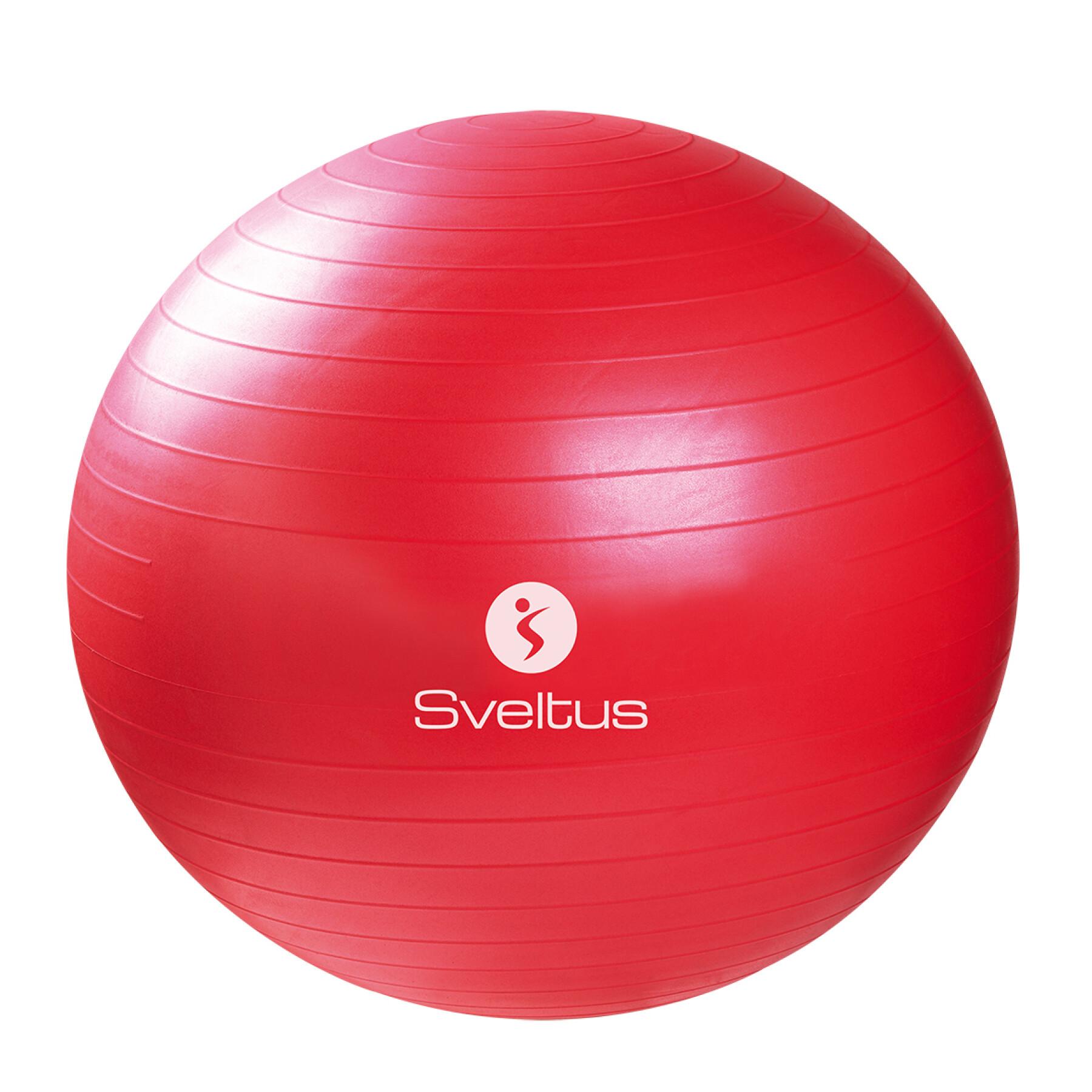 Gymball + boîte Sveltus 65cm