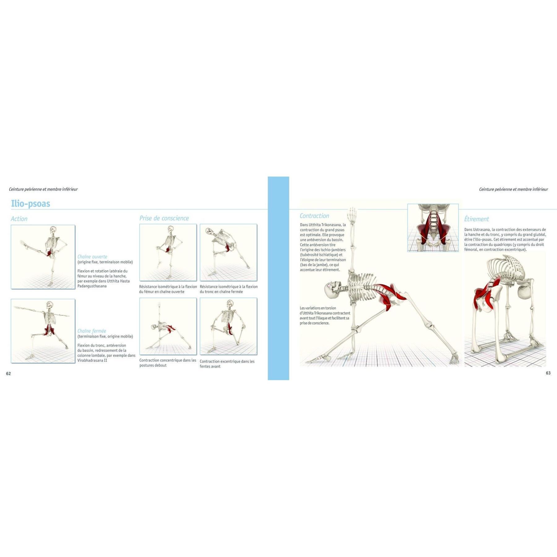 Livre yoga anatomie-les muscles Hachette