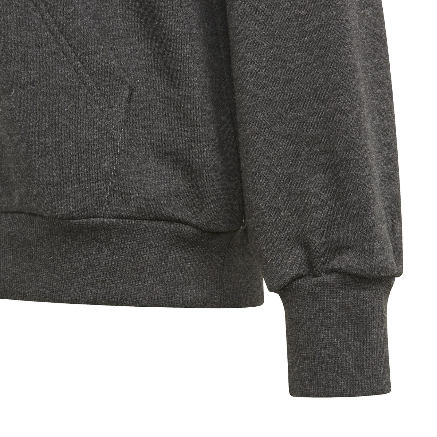 Sweatshirt à capuche enfant adidas Future Icons Logo