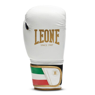 Gants de boxe Leone Italy 16 oz
