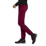 Pantalon de randonnée femme adidas Agravic XC