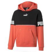 Sweatshirt à capuche fille Puma Power Colorblock FL G